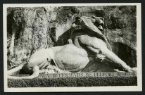 BELFORT - Le Lion (mesure 22 m de long et 11 m de haut - Oeuvre de Bartholdi), 2 exemplaires