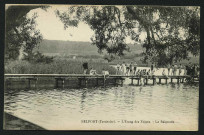 BELFORT (Territoire) - L'étang des Forges - La baignade