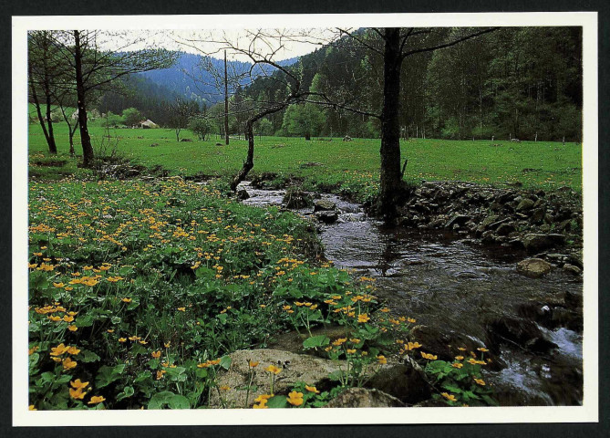 Le printemps : la vallée de la Madeleine