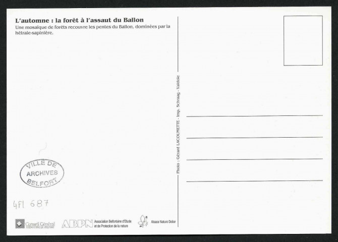 L'automne : la forêt à l'assaut du Ballon