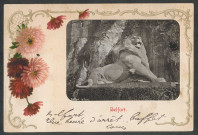Belfort - Le Lion
Photographie collée, encadrée par un décor fleuri
 