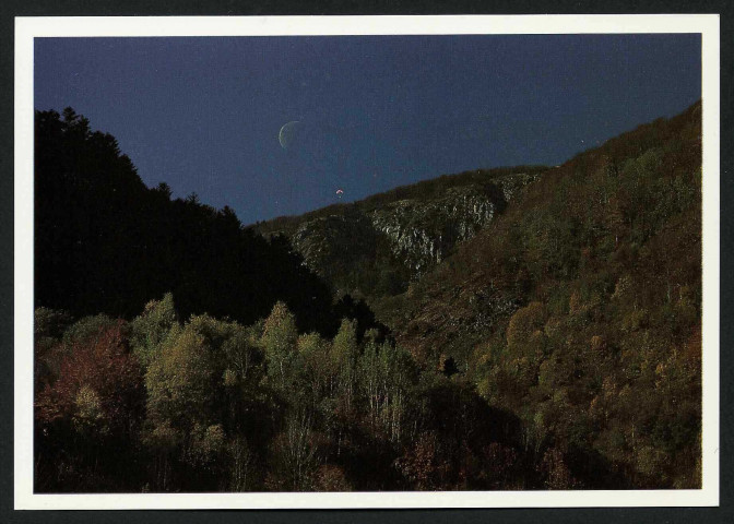 L'automne : la forêt à l'assaut du Ballon