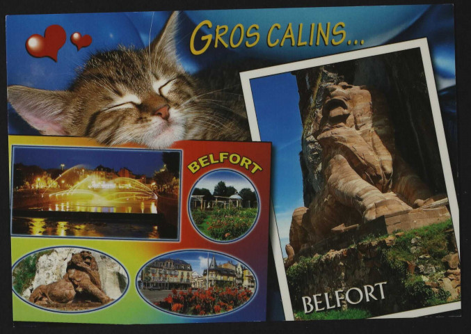 Multi-vues « gros câlins, Belfort » : les jets d'eau sur la Savoureuse, le Lion, le square de la Roseraie, la place Corbis