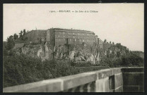BELFORT - Le Lion et le château