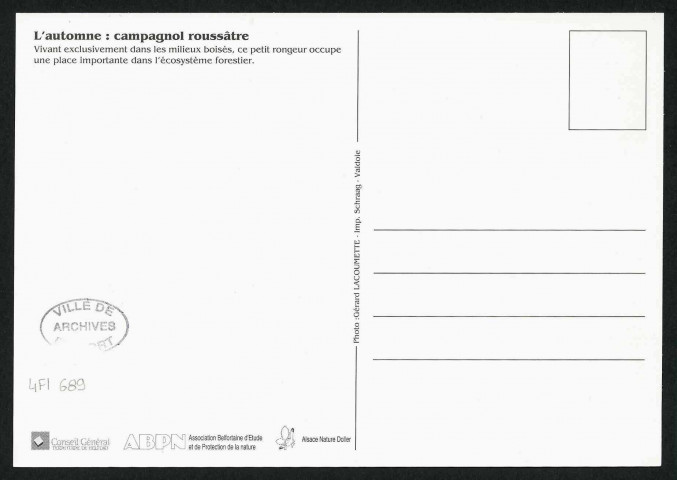 L'automne : campagnol roussâtre