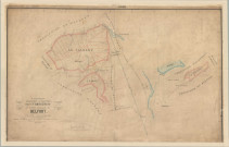 Plan d'aménagement de la forêt communale de Belfort : plan général (le Salbert, le Mont, la Miotte), dressé par M. Renaux, sous-inspecteur des forêts, le 10 octobre 1866.
Encre noire et couleur