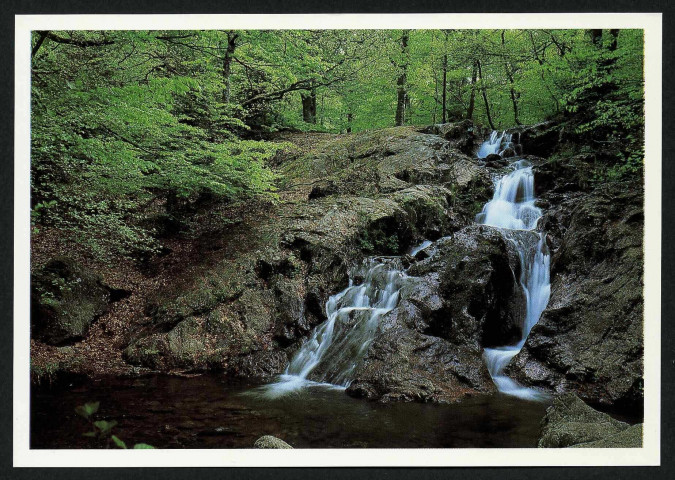 Le printemps : une des cascades de l'Alfeld